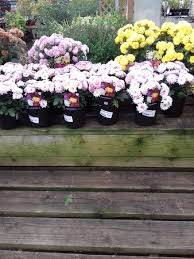 Members (2):kim boyd (manager) catherine wallbank (general manager). Waterside Garden Centre Baston Menu Prices Restaurant Reviews Tripadvisor