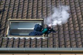 Les guêpes solitaires ne fabriquent pas de nid. Dans Le Bas Rhin Comme Ailleurs Les Nids De Guepes Proliferent Et Les Interventions Aussi Sciences Et Avenir