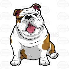  Wrinkly English Bulldog Sitting With Its Mouth Open Bulldog Cartoon Bulldog Drawing Bulldog Art