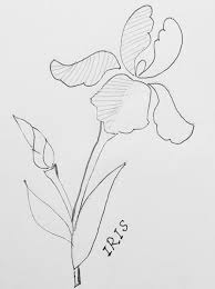 Find hundreds of free embroidery patterns for all skill levels, to personalise your accessories and decorate your home. Embroidery Stitches And Design Patterns For Beginners