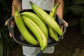 Yellow and brown plantains are softer and sweeter. 7 Qualities To Look For In Choosing The Perfect Plantains