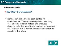 In fact, when a student is ready to know about these. Section 11 4 Interest Grabber How Many Chromosomes Ppt Video Online Download