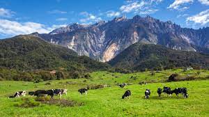 Aynı zamanda başkentidir kota kinabalu yanı sıra batı kıyısı bölümü sabah'ın. 4d3n Funtastic Kk Kundasang Ground Tripfez Travel