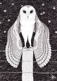 Barn Owl By Athena Mariah Larue Barn Owl Drawing Barn Owl Tattoo Barn Owl Art