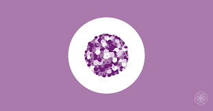 How long does the herpes zoster virus survive outside the body?ie. Herpes Symptoms In Women Genital Herpes Diagnosis Treatment