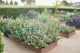 Succulents are super trendy right now, so why not send your most fashion forward friend this ultra modern succulent garden? Cut Flower Gardens Floristry Homestead Design Collective