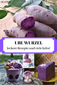 Ube Wurzel Viele Leckere Rezepte Und Interessante Infos Ube Wurzel Rezepte Leckere Rezepte