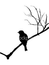 Outline Bird On Branch Drawing Silhouette Of A Bird On Branch Bird Silhouette Bird On Branch Bird Stencil