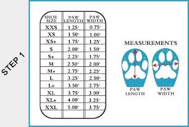 dog boot size chart related keywords suggestions dog