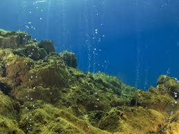 Peta lokasi tiga gunung api bawah laut di perairan utara. 5 Gunung Api Bawah Laut Indonesia Yang Mampu Menyita Perhatian