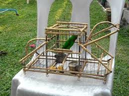 Dawai tayar kereta (lebih kurang 10 inci) 4. Jebak Serindit Youtube