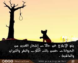 معلومات عامة عن الحيوانات هل تعلم animal facts animals poster