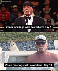 Zoom Meetings With Coworkers Day 18 Ifunny Funny Pictures Memes Stupid Memes