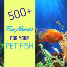 500 Creative Fun And Cool Names For Your Pet Fish Fishnameideas Fishnames Namingpetfish Coolfishnames Uniquefishnames Pet Fish Cool Fish Happy Animals