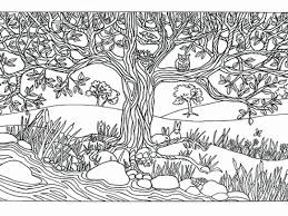 Waterfall nature coloring pages for adults. Coloring Picture Of A Tree Fresh Elegant Home Coloring Pages Best Color Sheet 0d Modokom Fun Coloring Pages Nature Coloring Pictures Coloring Pages