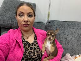 Let me introduce you my new Chihuahua baby girl, her name is Luna 🌙 (means  Moon in Spanish) because she has a little birthmark like a moon near her  nose. Hope she