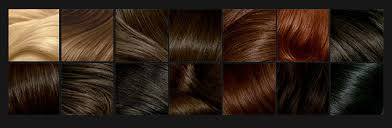 Palette Hair Color Shades