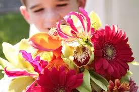 Valley Flora Reviews