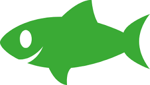 Zeemeeuw met zwarte rug op spoor, zijaanzicht dichte omhooggaand. Zeeduivel Veelgevraagde Vis En Uitstekend Van Smaak Fix Fisch