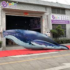 The blue whale is the largest animal to ever live, in the entire history of earth. Personalized 20 Feet Outdoors Pvc Giant Inflatable Whale Air Sealed Giant Inflatable Blue Whale 6m Long Whale Inflatable Toys Inflatable Bouncers Aliexpress