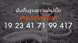 คนสุพรรณผวากลางดึก พบ งูจงอางเผือก บุกบ้านเรียกกู้ภัยมาช่วยจับ ตอนเช้าต้องผวาอีกรอบ หลังพบ งูจงอางสีดำ แผ่แม่เบี้ย เชื่อออกตามหาคู่รัก à¸ à¸™à¹€à¸« à¸™à¸‡ à¸ˆà¸‡à¸­à¸²à¸‡à¹à¸œ à¹à¸¡ à¹€à¸š à¸¢ à¸—à¸³à¸™à¸²à¸¢à¸§ à¸² Youtube