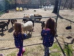 With these guides, you can too, farm or not. Animal Farm Petting Zoo