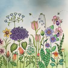 The smooth, untextured pages allows for beautiful blending. Robin Reed 02 07 2019 Johanna Basford Colouring Gallery Artofit