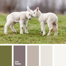 This color combination has an outdoor feel to it, like a summer baseball game: Color Of Moss Color Palette Ideas