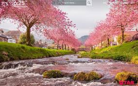 Cherry Blossom Wallpapers Hd Theme Free for commercial use no attribution required high quality images. cherry blossom wallpapers hd theme