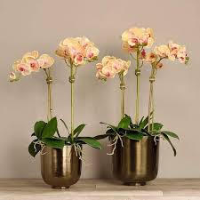 Visit our showroom for inspiration or. Luxury Artificial Orchid Arrangements Bloomr In 2021 Artificial Orchids Orchids Orchid Arrangements