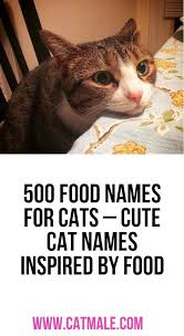Pin On Cat Names