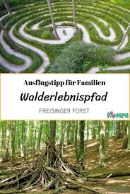 Der Walderlebnispfad Im Freisinger Forst Ist Ein Abwechslungsreicher Rundweg Von Etwa 2 Km Lange Und Immer Einen Ausflug Mit Der Famili Ausflug Reisen Erlebnis