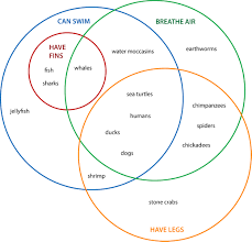 (even if they work a little differently in plants and animals). Plant And Animal Cells Venn Diagram Wiring Site Resource