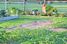 Use a tiller or a fork to turn the soil. How To Control The Weeds In Your Vegetable Garden Cottage At The Crossroads