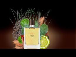 Terre D Hermes Eau Intense Vetiver 2018 Youtube
