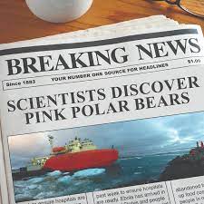 Check spelling or type a new query. A Month Of Headlines Creativity Catapult Try This Fun Creative Activity With Your Children Find Step Writing Activities Creative Learning Kids Activities