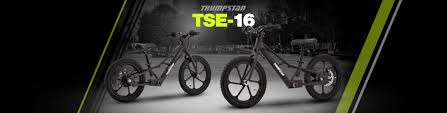 Thumpstar Tse 16 Electric Balance Bike Thumpnz