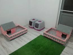 Siparis Ve Bilgi Icin Irt Sezgin Sariboyaci 0507 664 22 22 Toptan Ve Perakende Kedi Evi Kedi