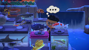 See more of fish football on facebook. The Model Of The Football Fish Has The Male Fish Detached From The Female S Body Pretty Neat Animalcrossing