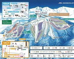 白馬岩岳スノーフィールドの画像