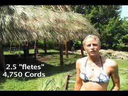 How to thatch a roof. Building In Nicaragua Palm Fronds For A Thatch Roof Youtube