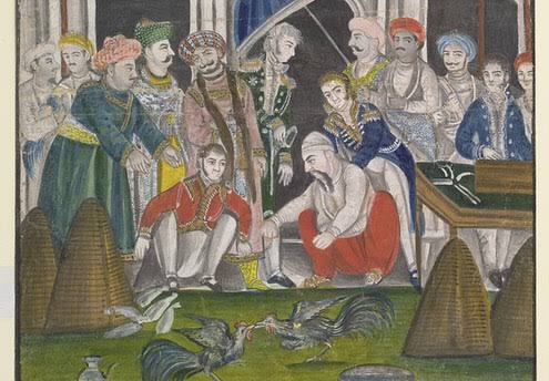 A cock fighting event at the court of the Nawab of Oudh in northern India. While cockfighting was condemned in Britain as cruel, in India it became entertainment—where British officials indulged in