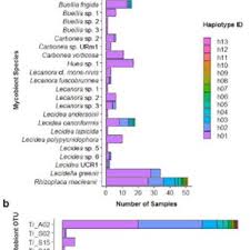 t g allan green s research works complutense university of madrid madrid ucm and other places