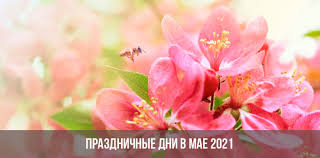 12 июня в 2021 году приходится на субботу, и выходным станет. Kak Otdyhaem V Mae 2021 Vyhodnye I Prazdnichnye Dni V Rossii Majskie Kalendar