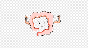 Constipation Intestine Defecation Feces Diet Healthy Gut Love Painted Png Pngegg Free png cartoons pictures clipart. constipation intestine defecation feces