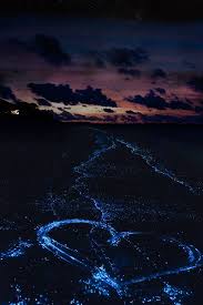 27 Surreal Places To Visit Before You Die Sea Of Stars Places To See Places To Visit