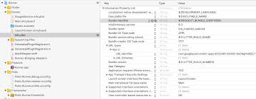 Firebase Phone Auth Getting Ios Error Register Custom Url Scheme Stack Overflow