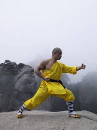 Shifuyanlei Martial Arts Shaolin Kung Fu Karate Styles