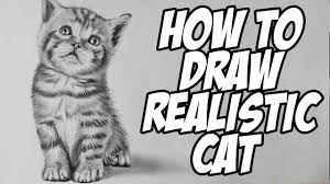 How to draw cute animal drawings realistic. How To Draw A Realistic Baby Kitten Drawing Animal Hair Youtube
