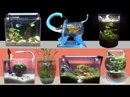When you're happy with how it all looks the next step is to mount it to the perspex. Top 22 Amazing Diy Aquarium Guppy Shrimp Betta Fish How To Make Fish Tank At Home Ideas Decoration Youtube Diy Aquarium Fish Tank Betta Fish